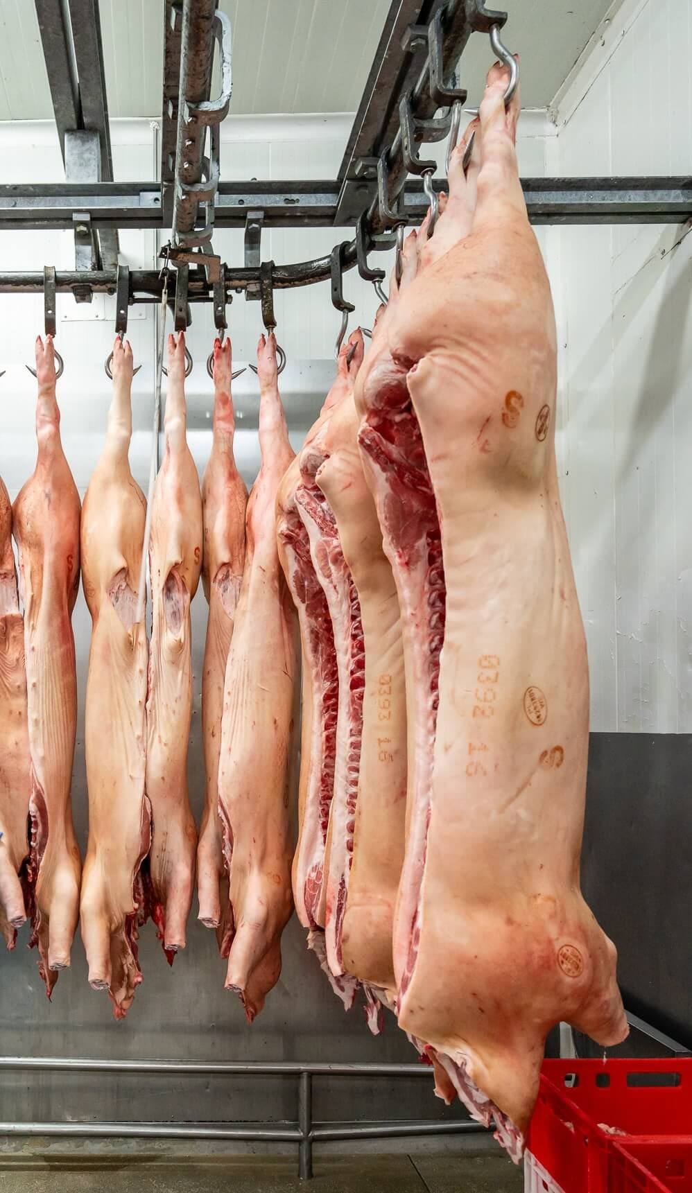 Kosów Lacki Plant — photo 1