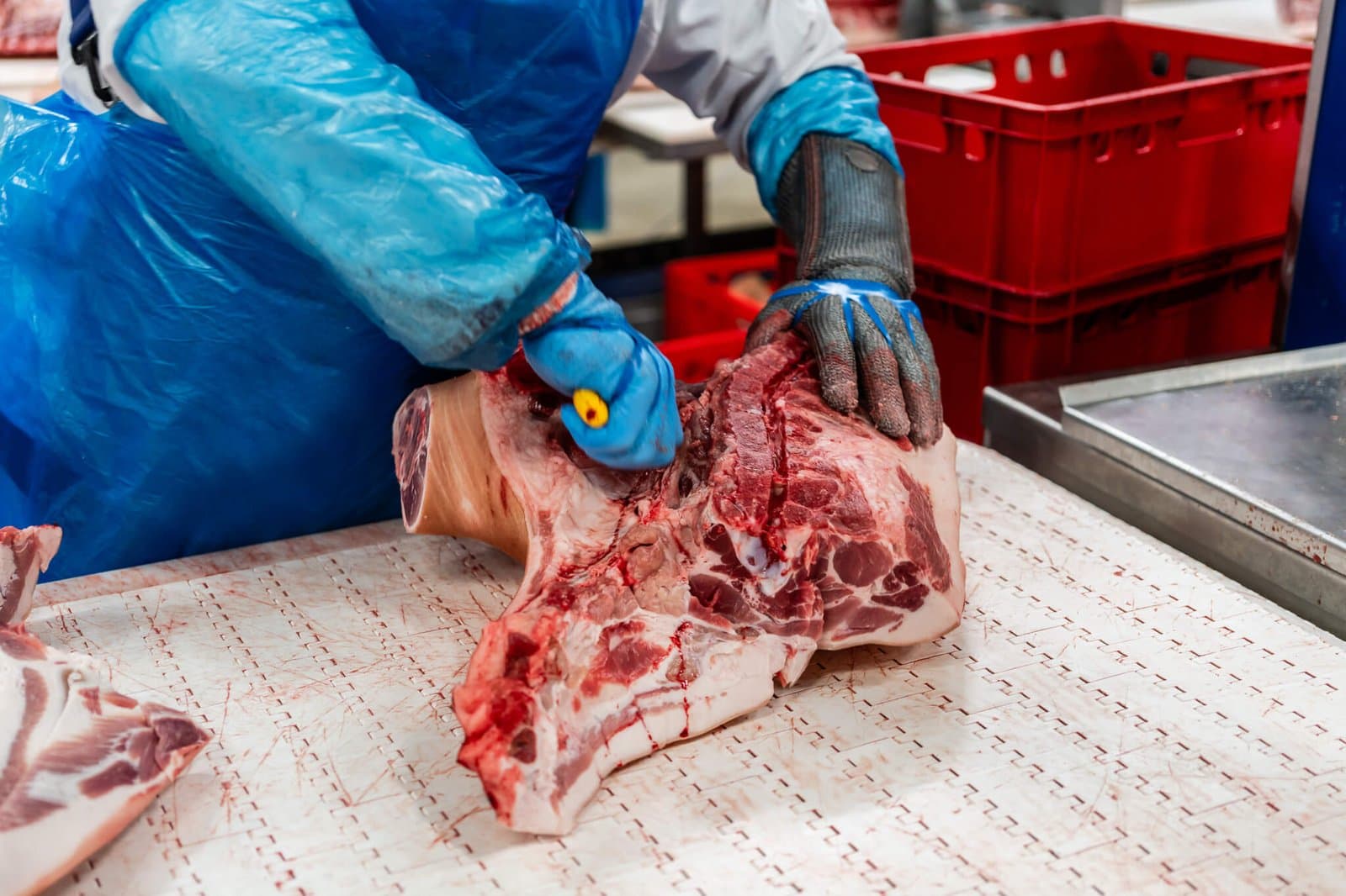 Kosów Lacki Plant — photo 2