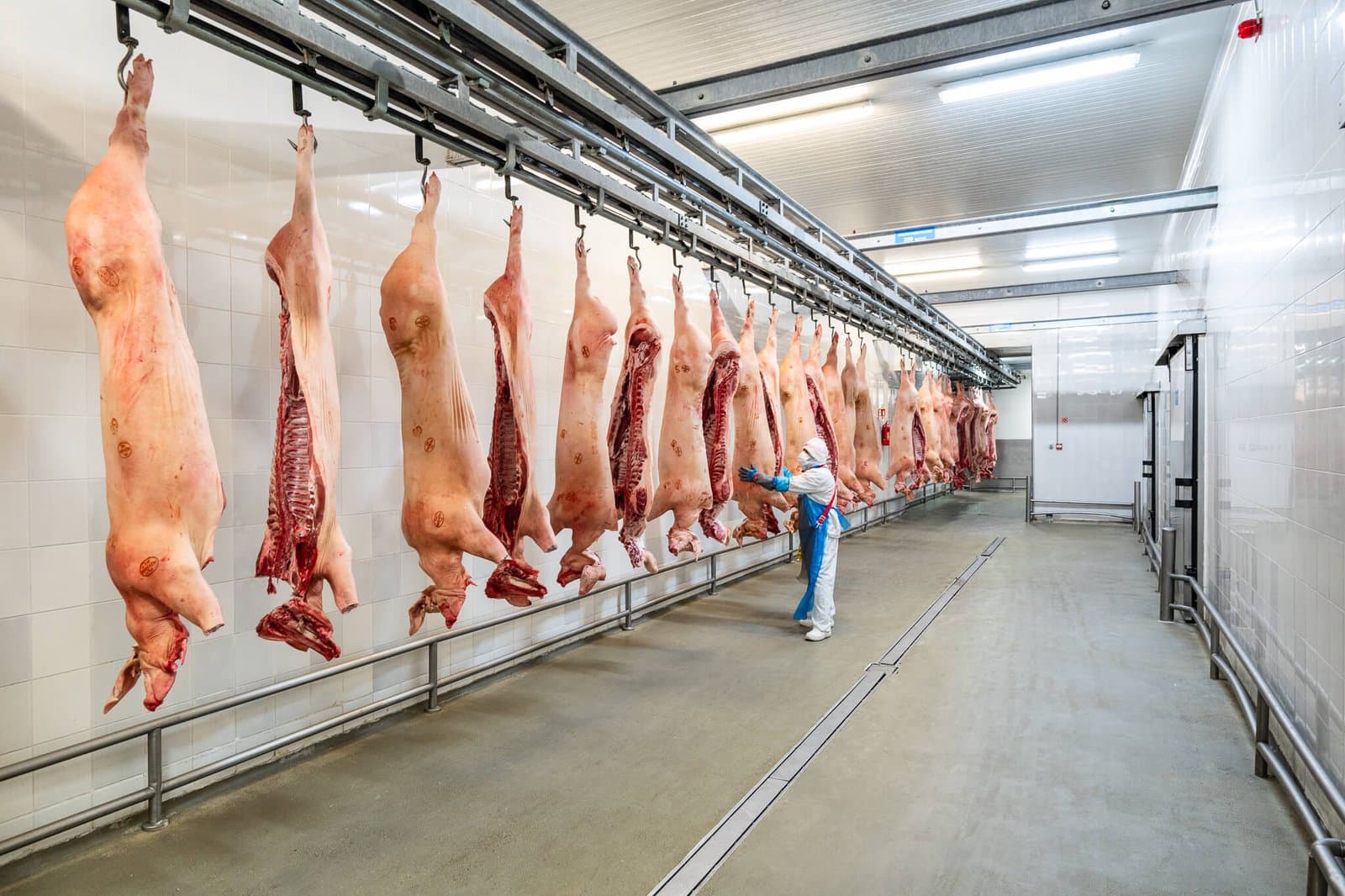 Kosów Lacki Plant — photo 3