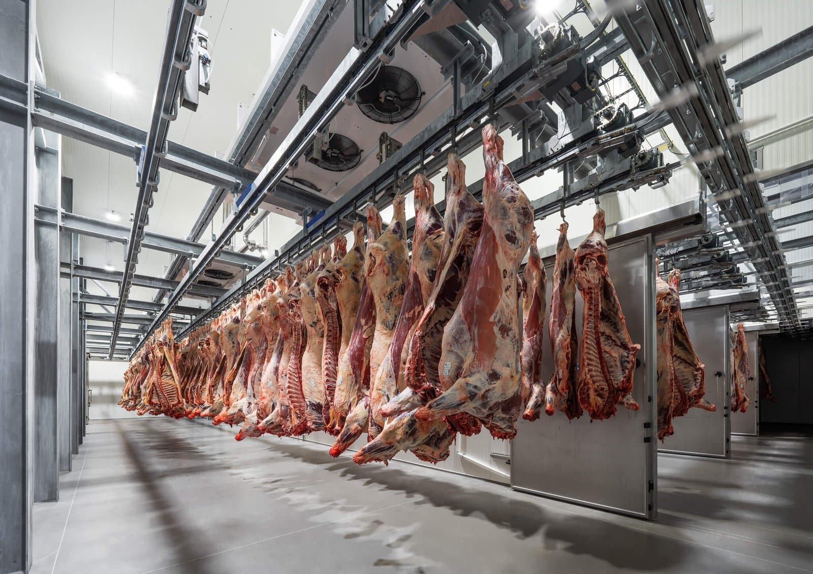 Szczuczyn Plant — photo 1